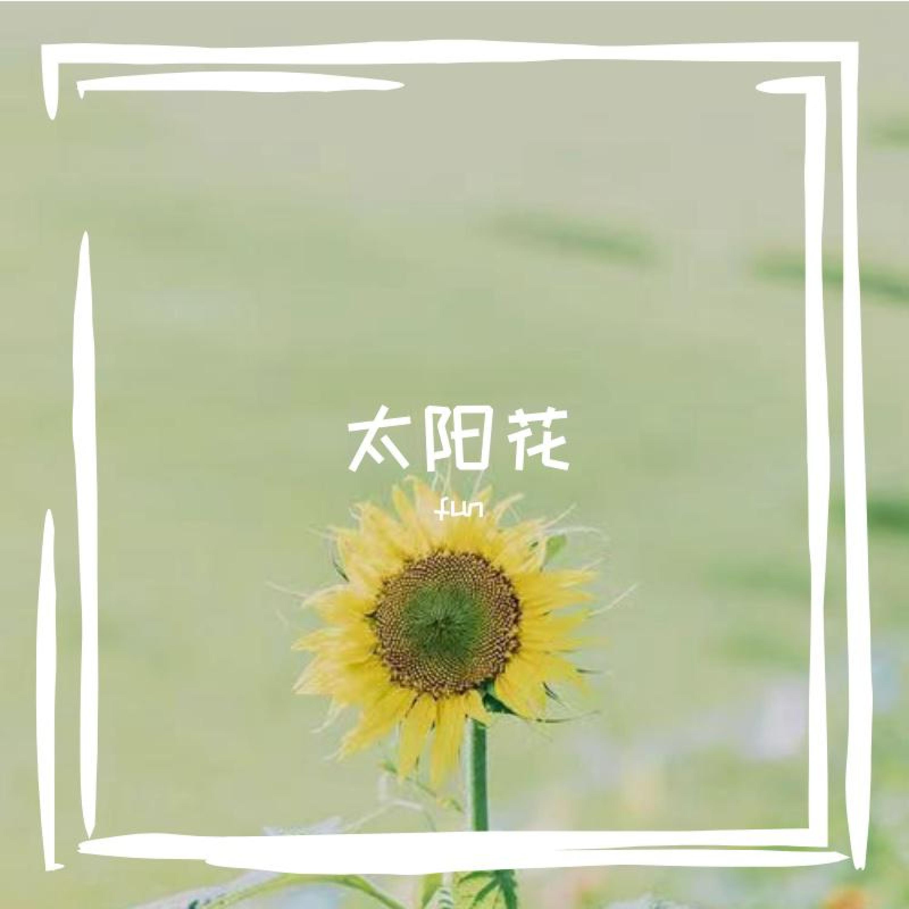 Релиз 太阳花