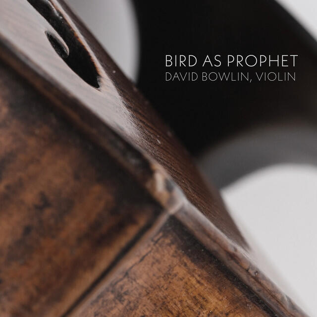 Релиз Bird as Prophet