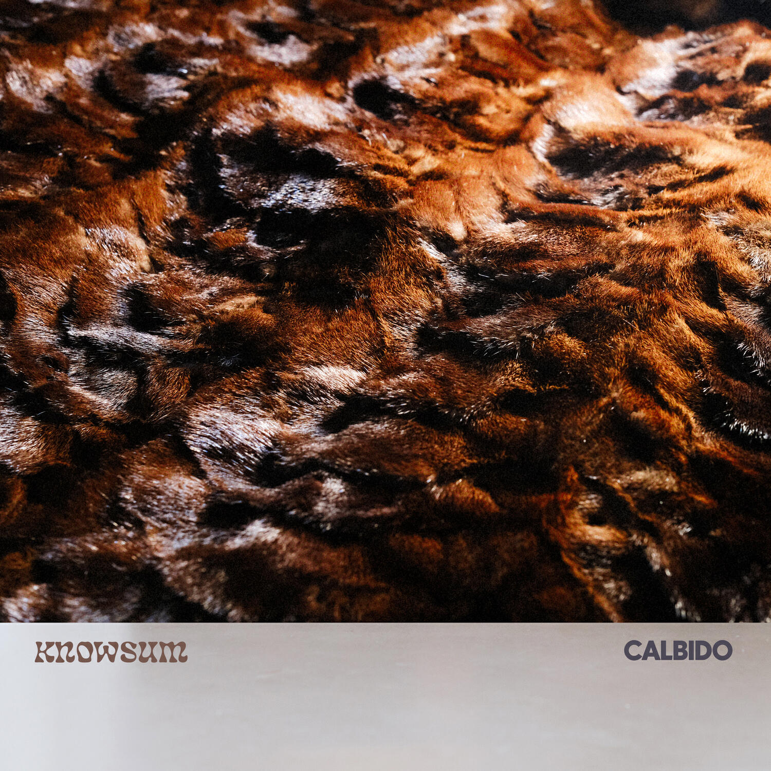 Релиз Calbido