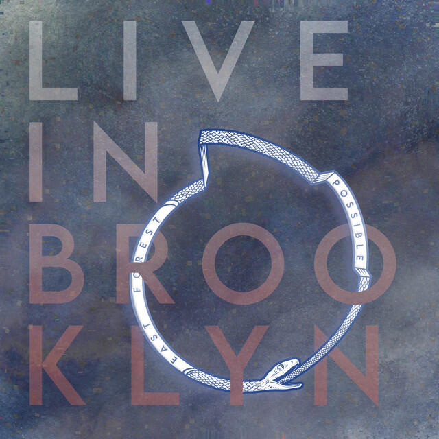 Релиз Live in Brooklyn