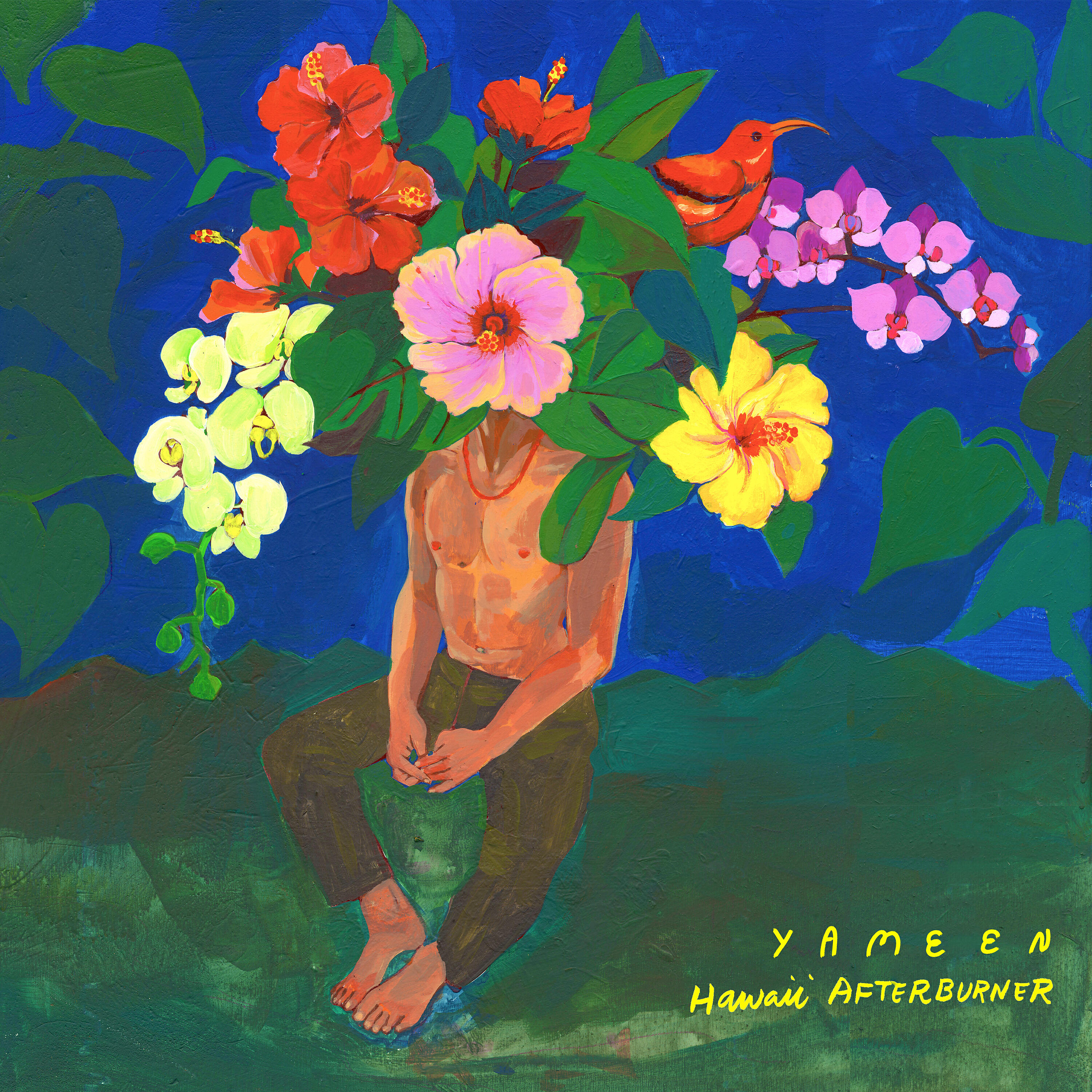 Релиз Hawaii Afterburner