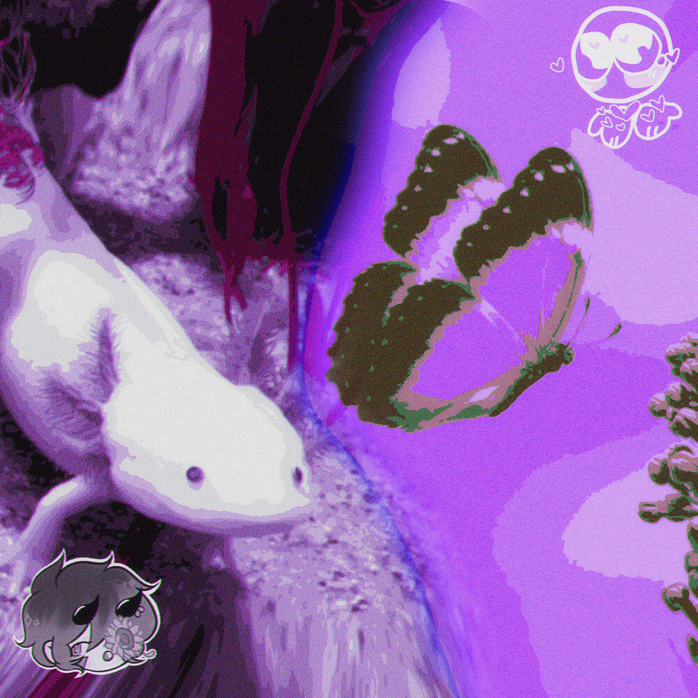 Релиз Bruxinhas