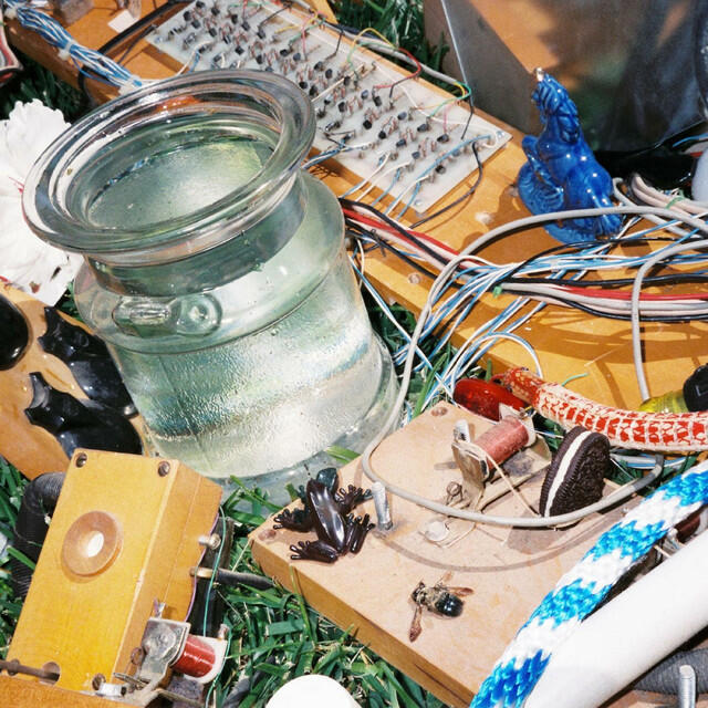 Релиз Meadow / Moss