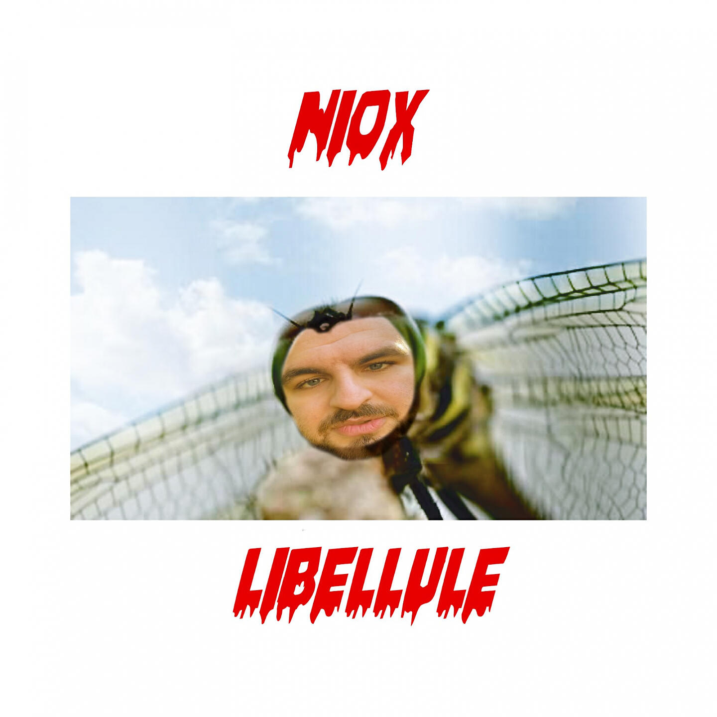 Релиз Libellule