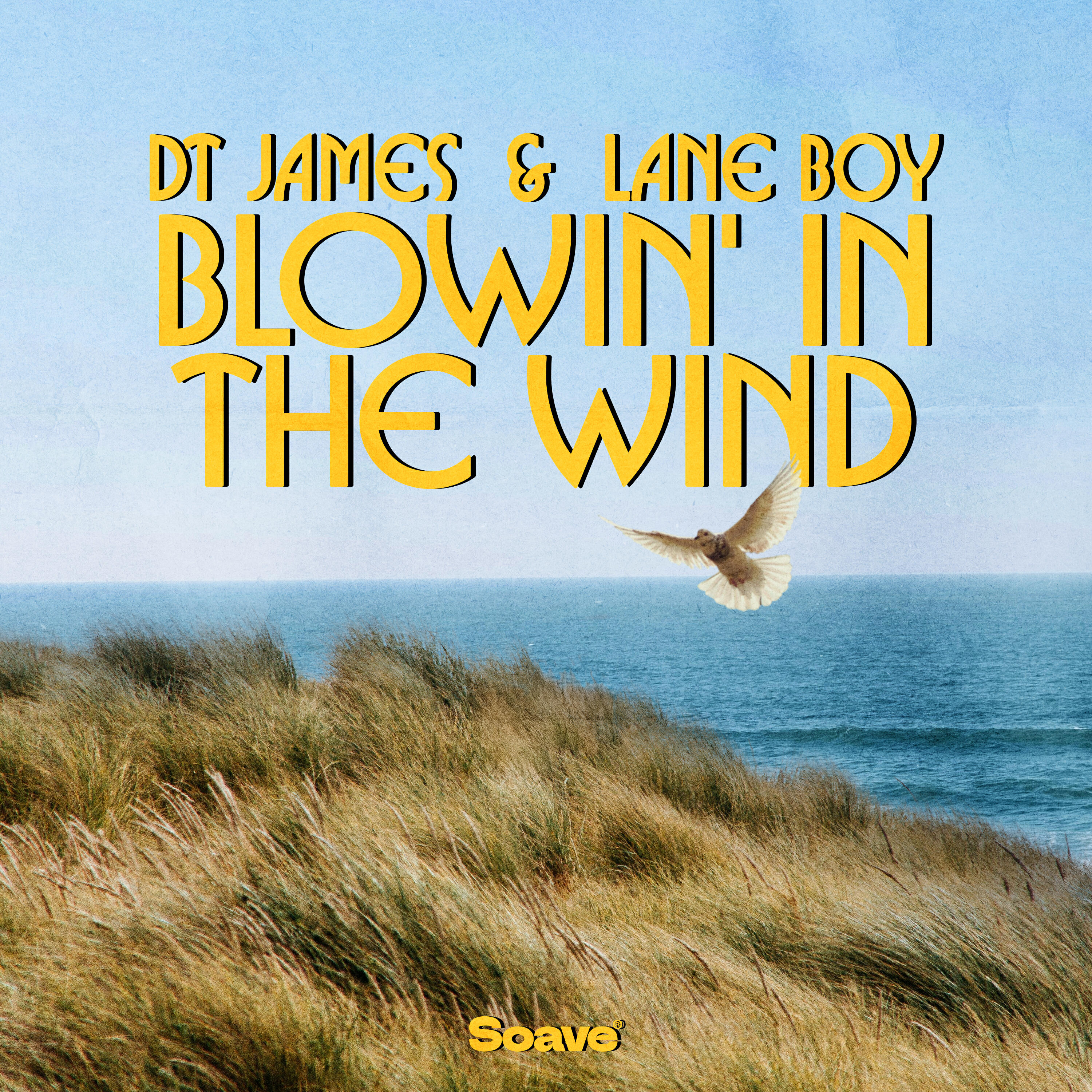 Релиз Blowin' in the Wind