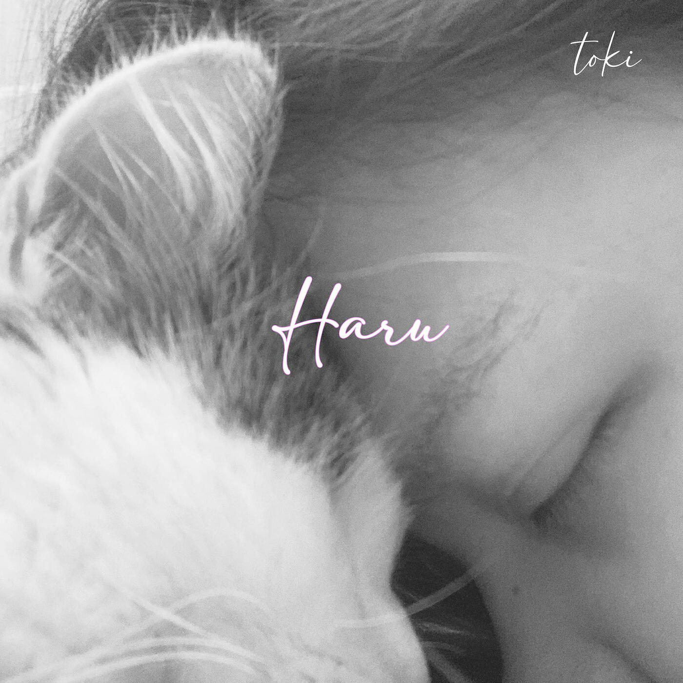 Релиз Haru