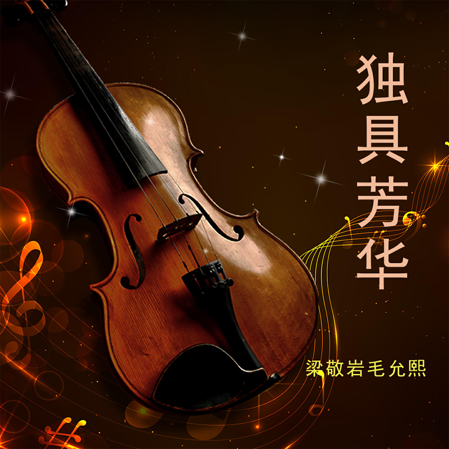 Релиз 独具芳华