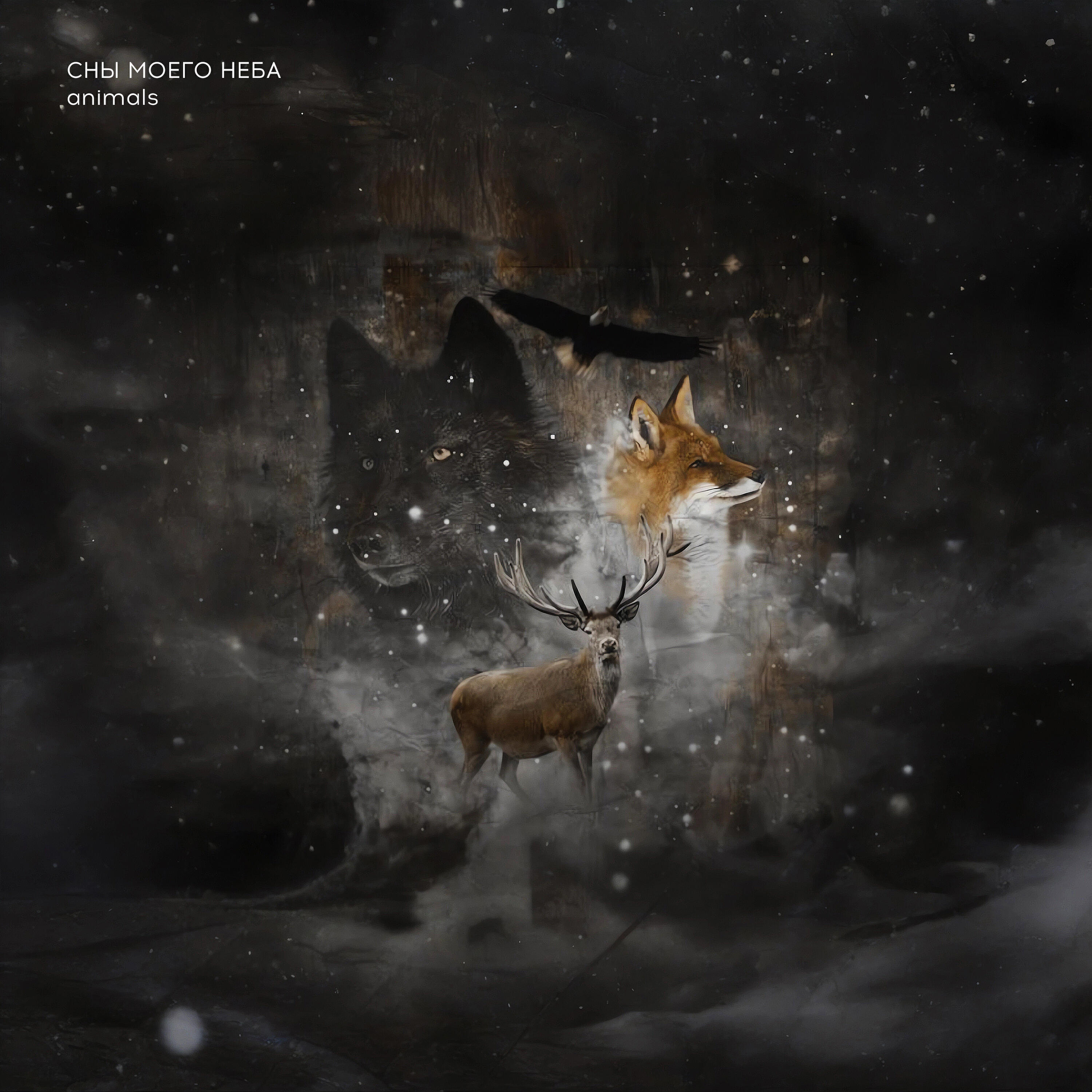 Релиз Animals