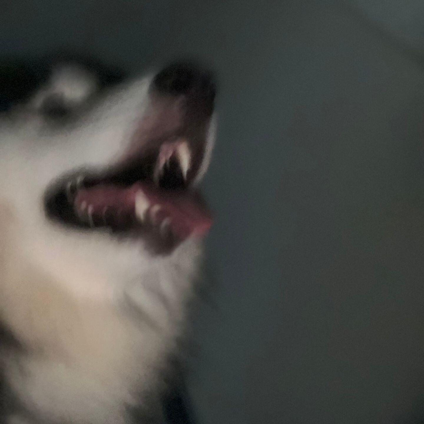 Youknowme, N/A - PANIC