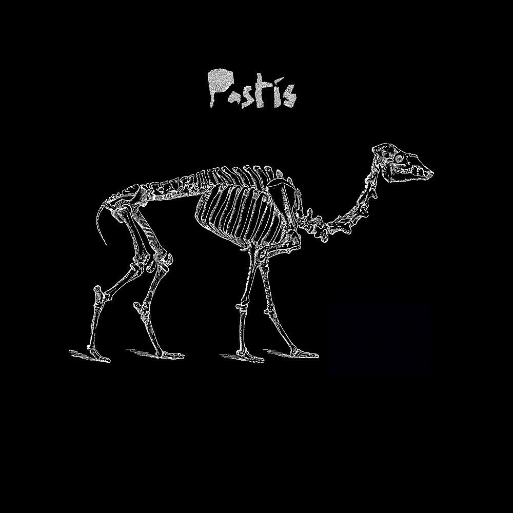 Релиз Pastis