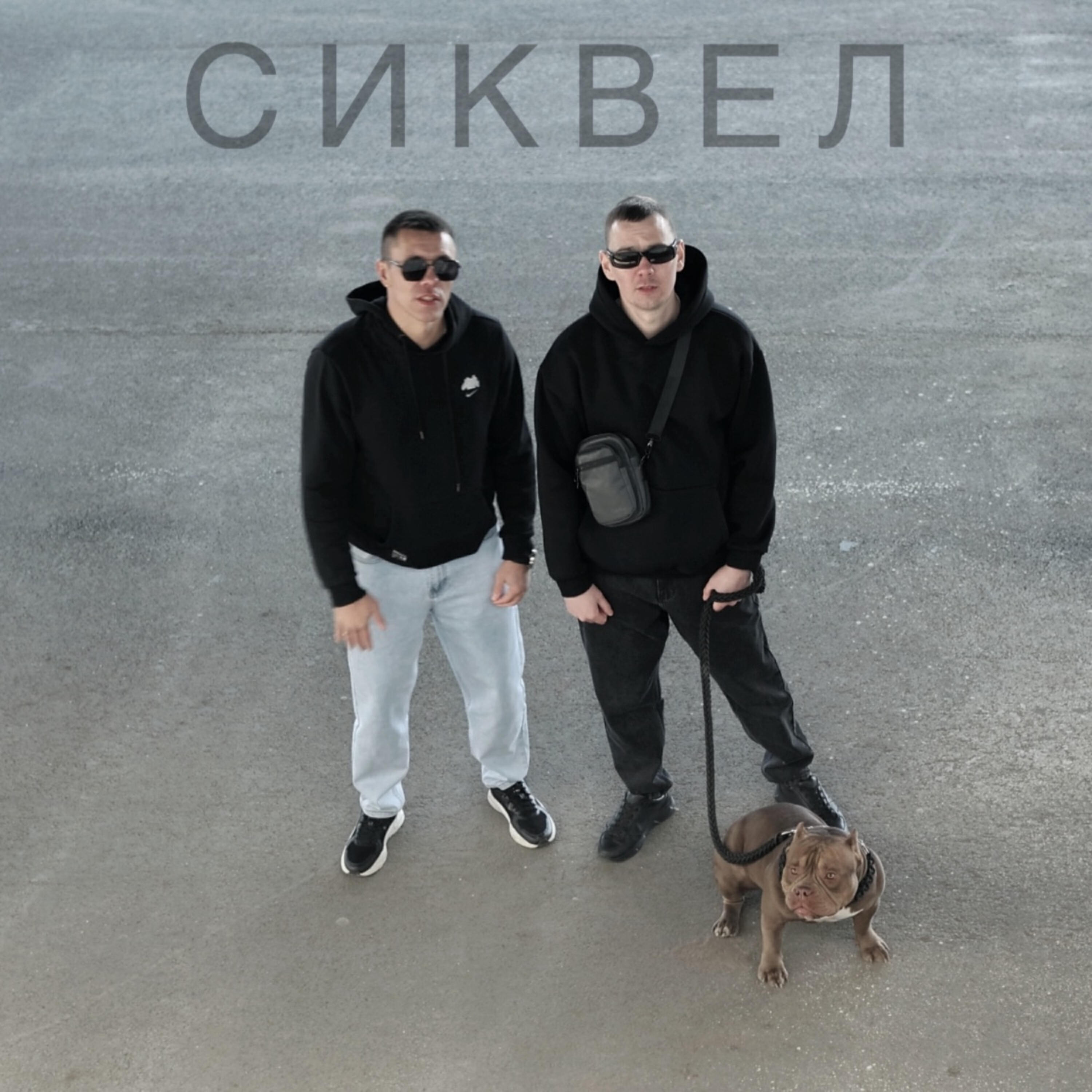 Релиз Сиквел