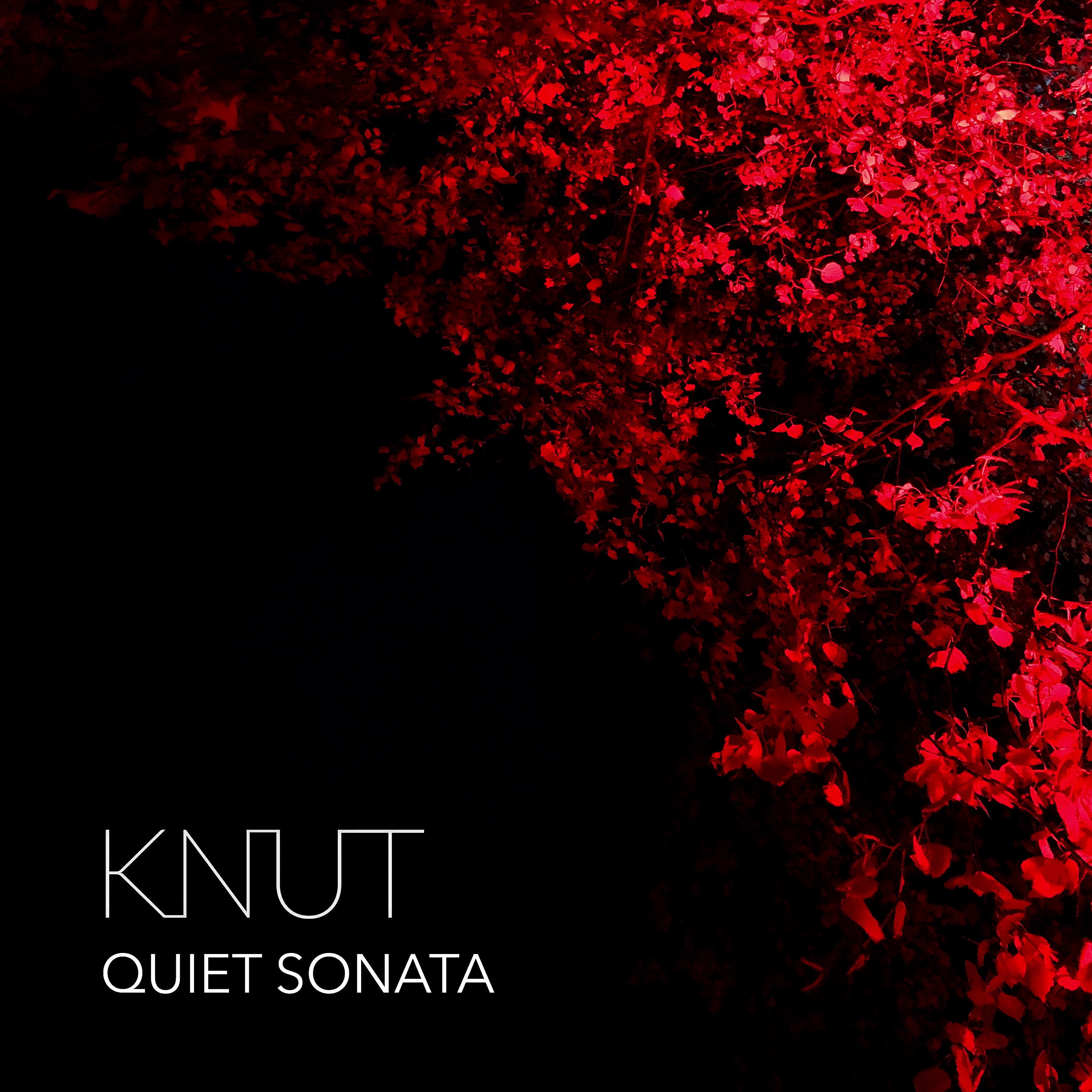 Релиз Quiet Sonata