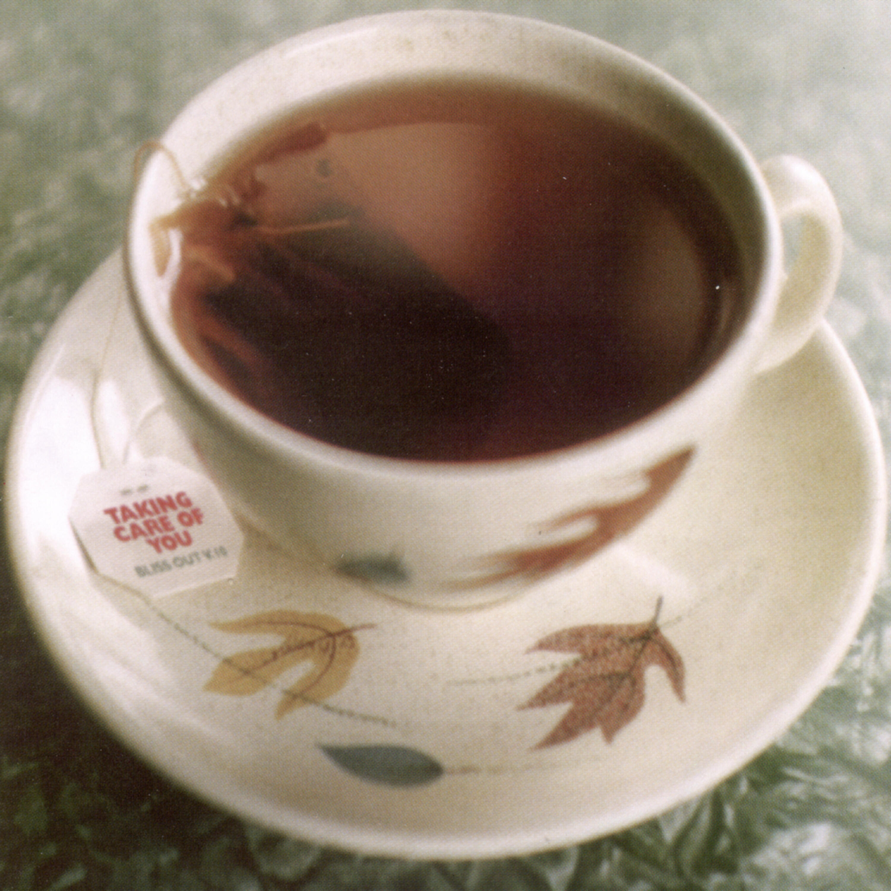 Релиз Taking Care Of You: Bliss Out v.10