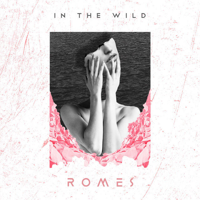 Релиз In The Wild