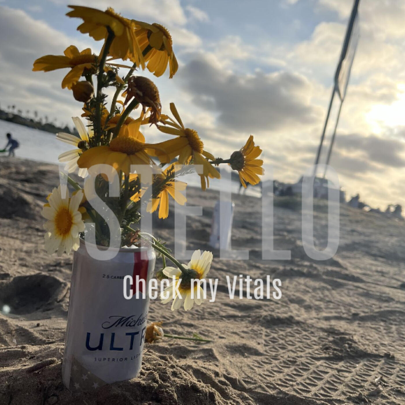 Релиз Check My Vitals