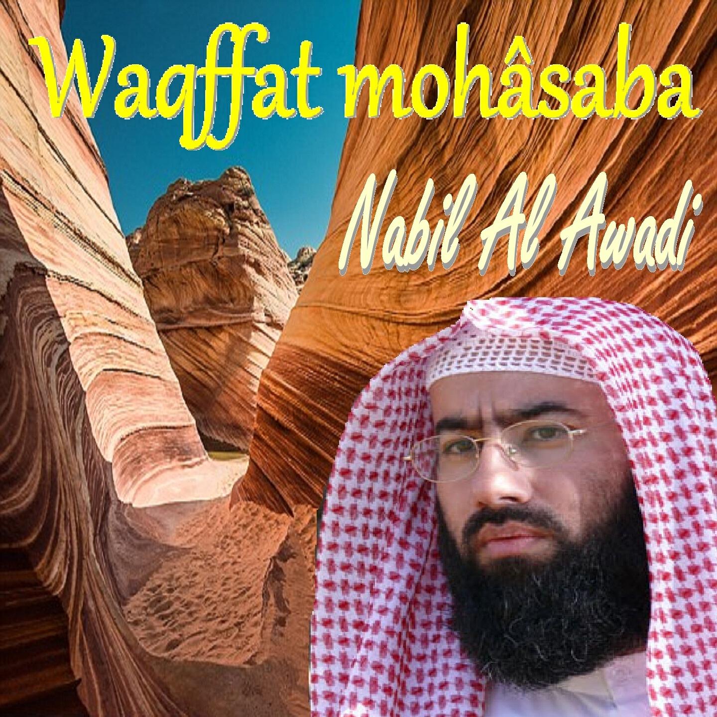 Релиз Waqffat Mohâsaba
