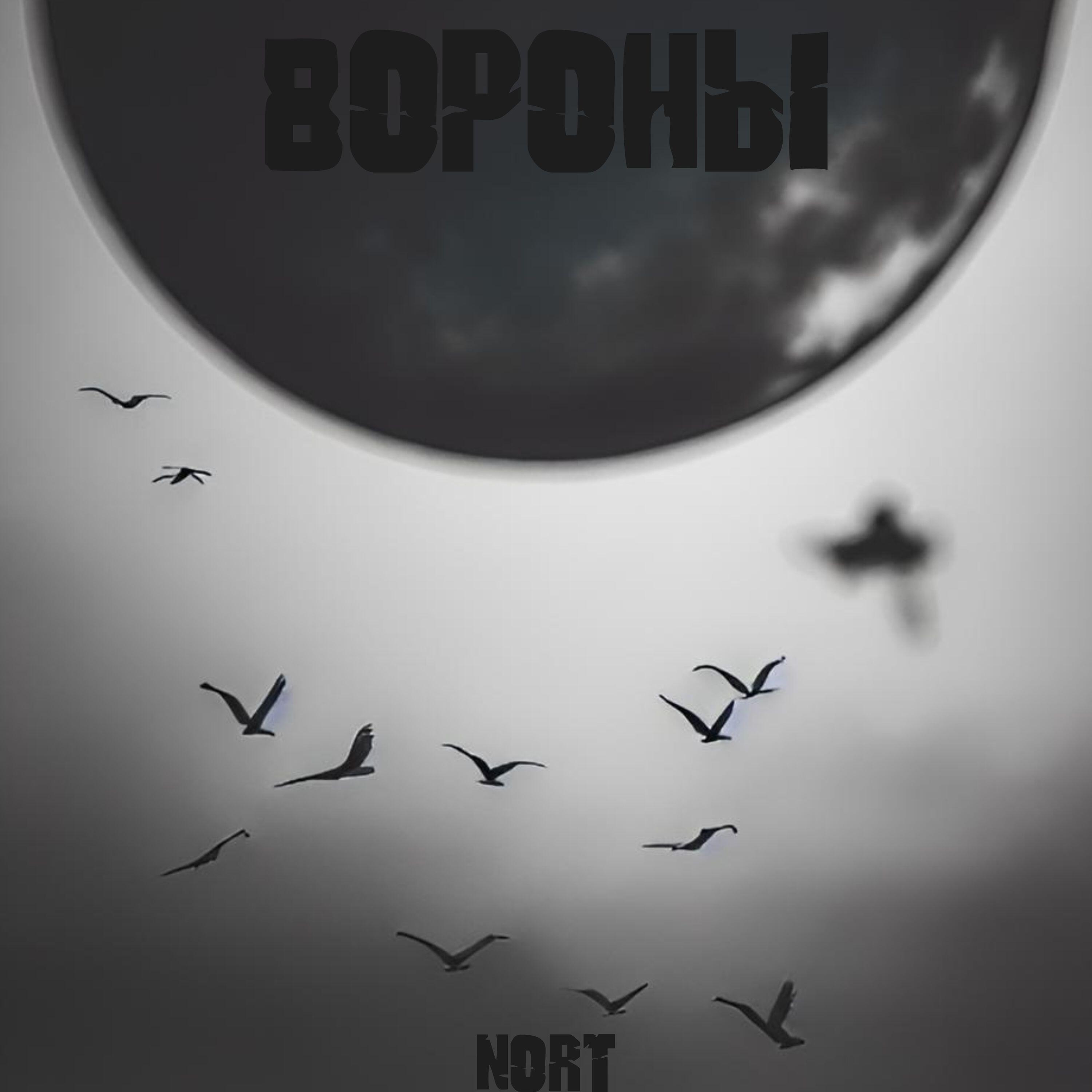 Релиз Вороны