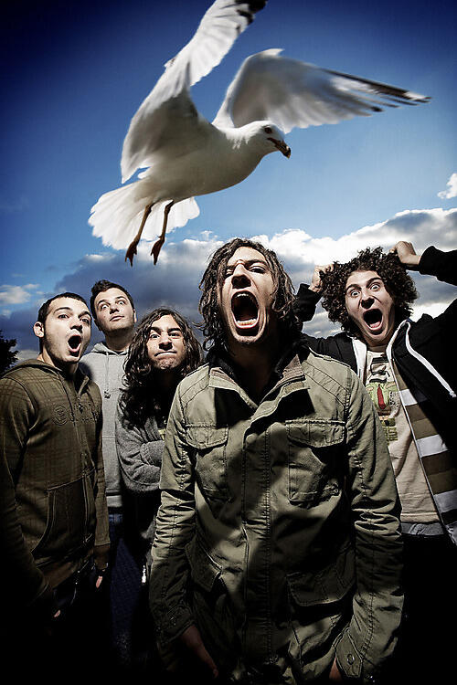 Envy on the Coast