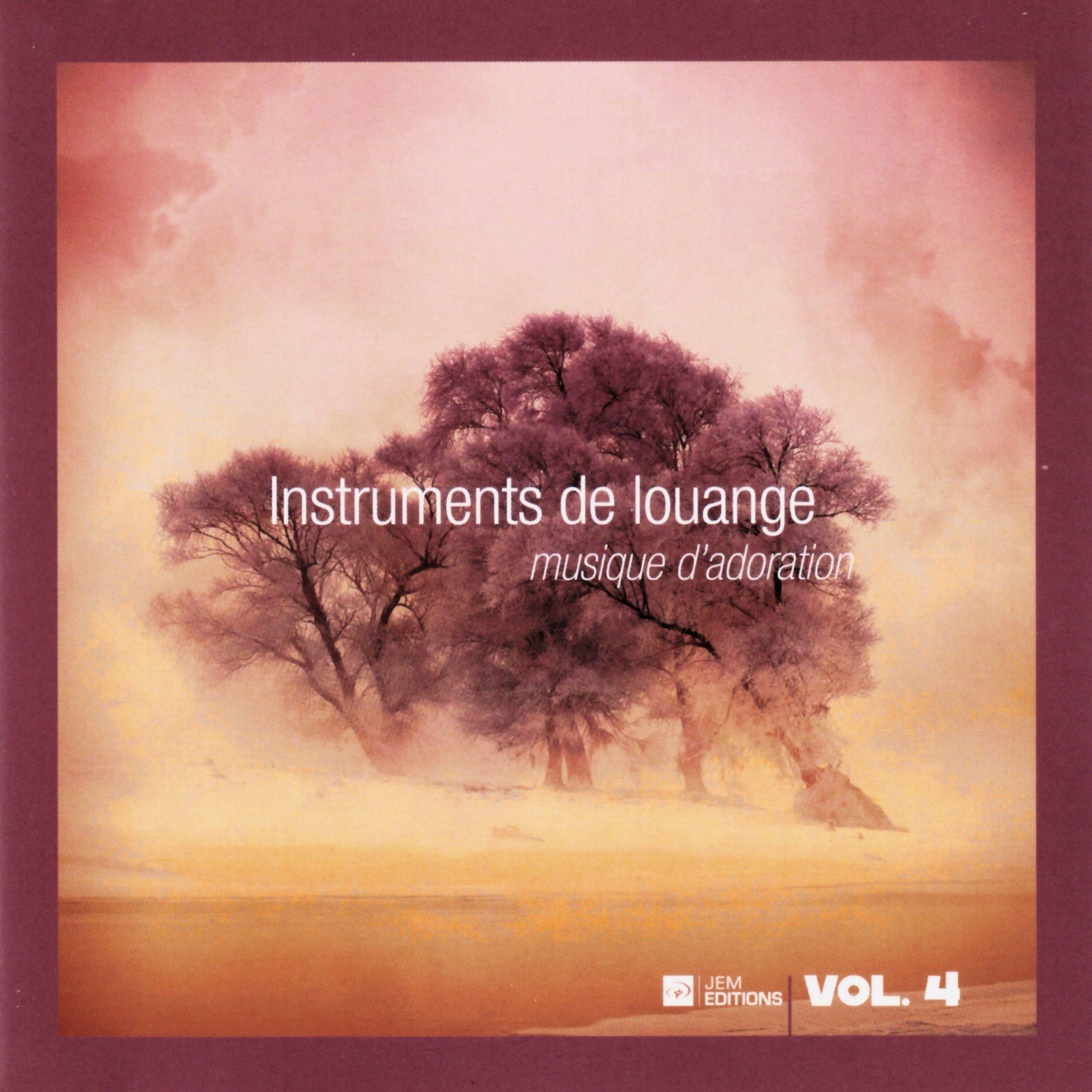 Релиз Instruments de louange, Vol. 4 (Musique d'adoration)