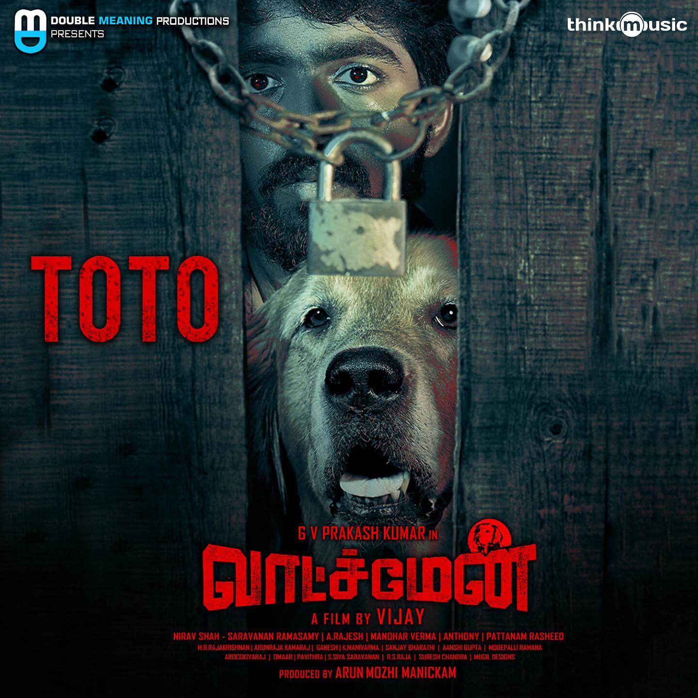 Релиз Toto