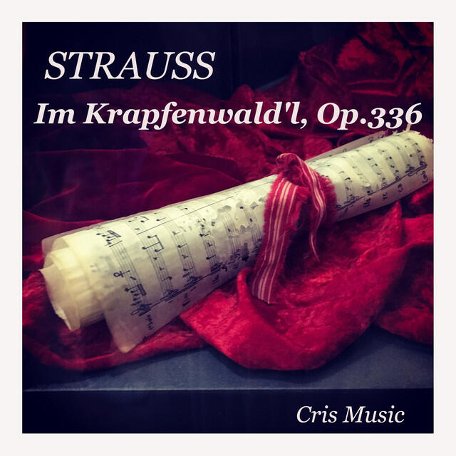 Постер альбома Strauss: Im Krapfenwald'l, Op.336