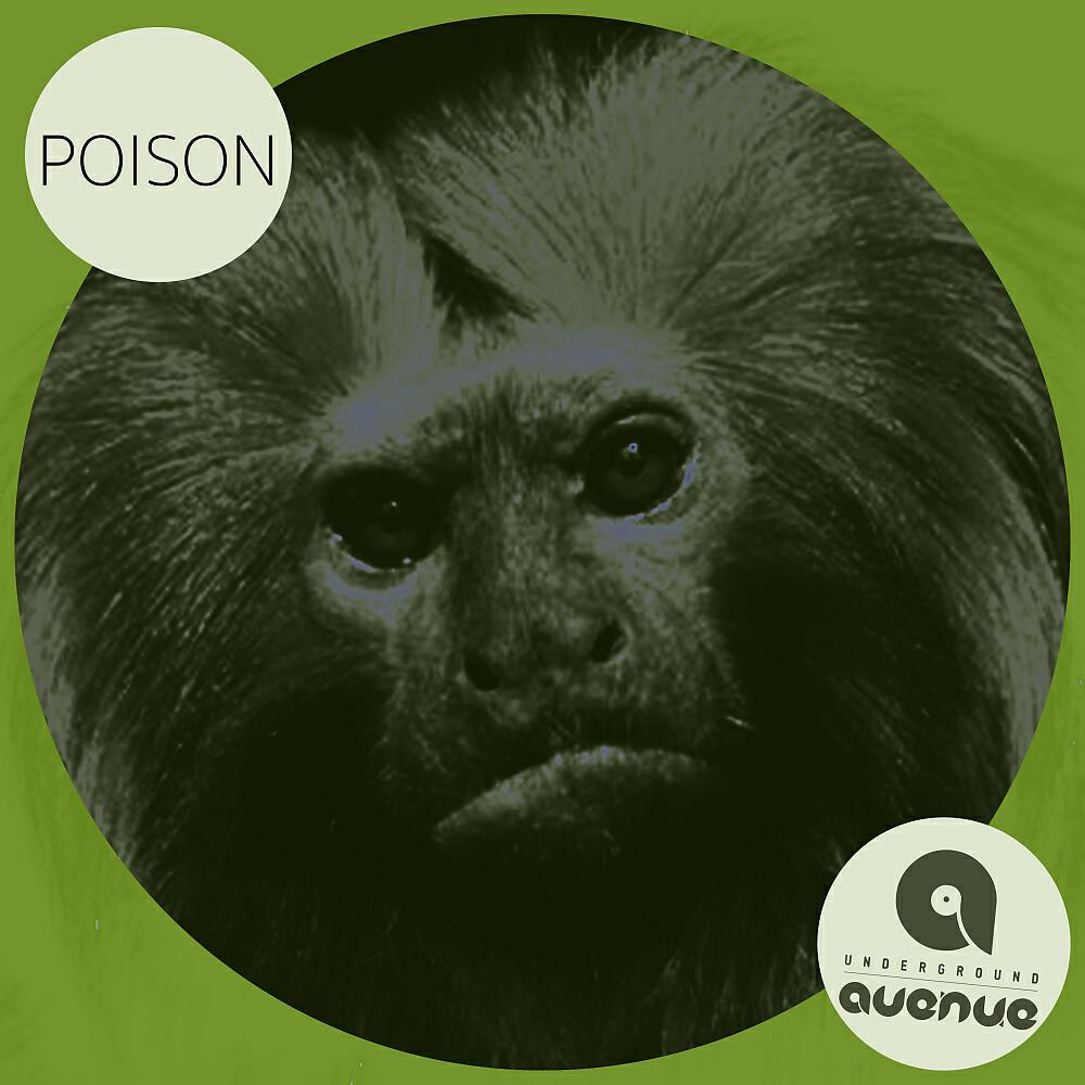 Релиз Poison