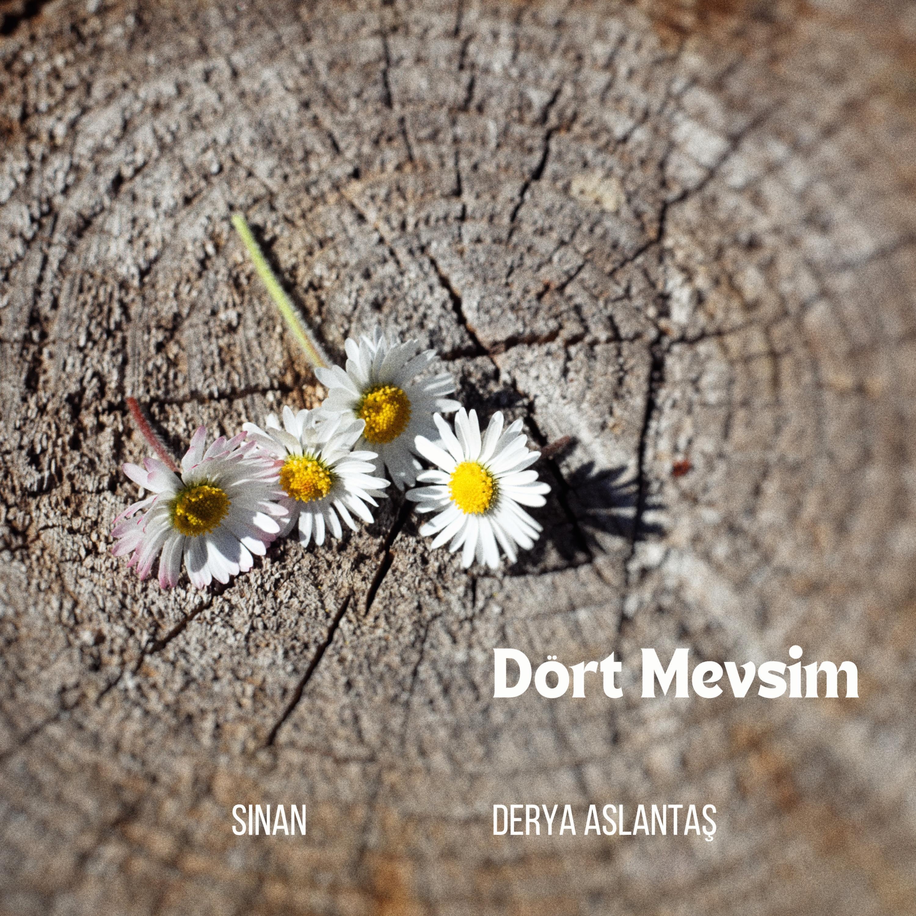 Релиз Dört Mevsim