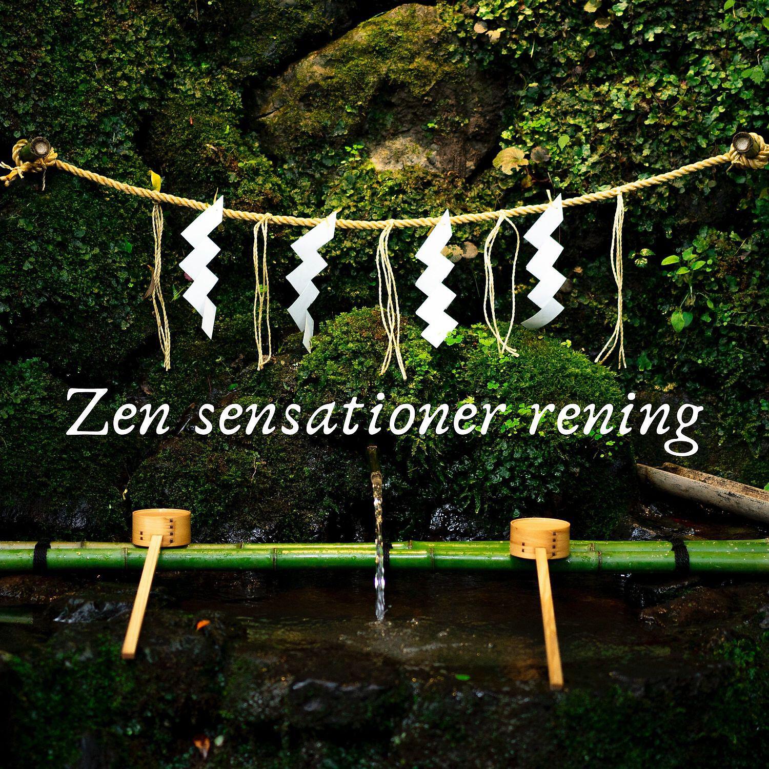 Релиз Zen sensationer rening