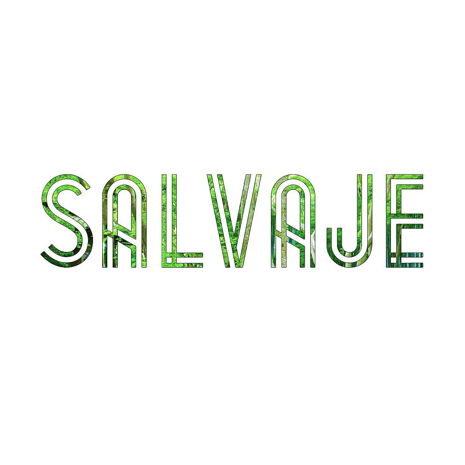Постер альбома Salvaje
