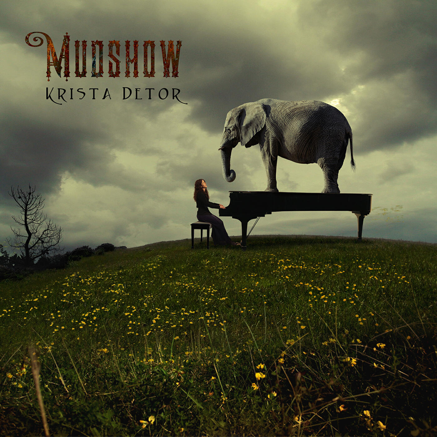 Релиз Mudshow