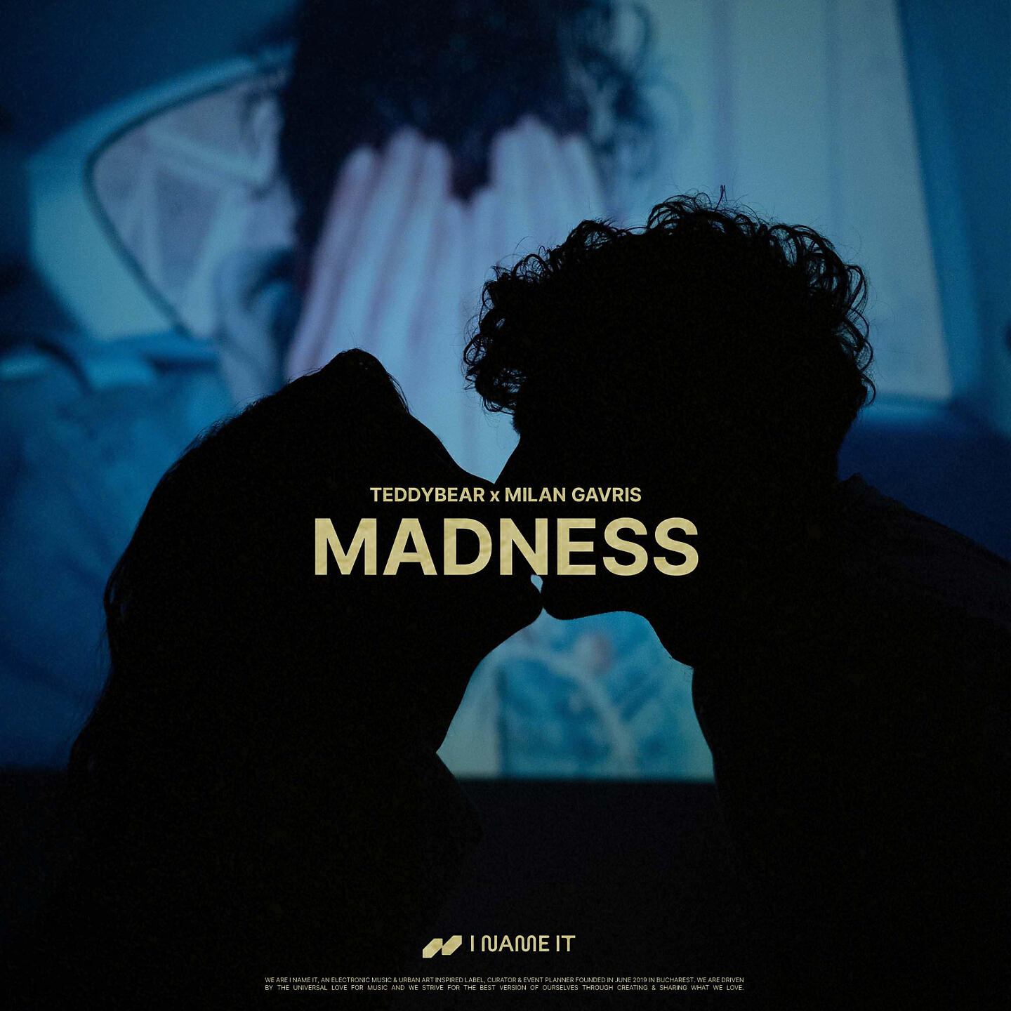 Постер альбома Madness