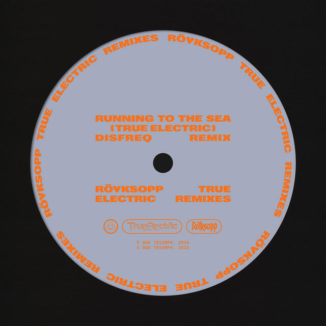 Релиз Running To The Sea (Disfreq Remix)