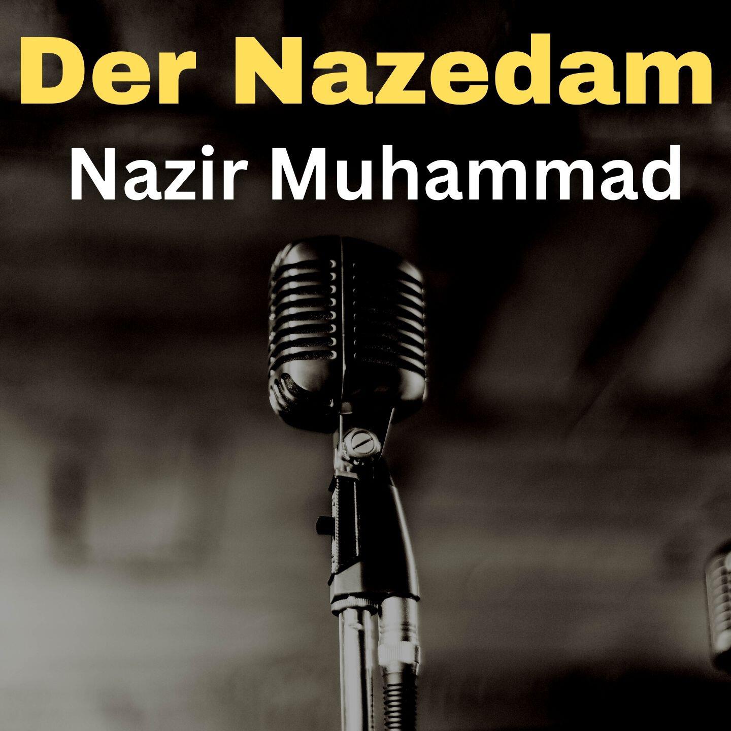Релиз Der Nazedam