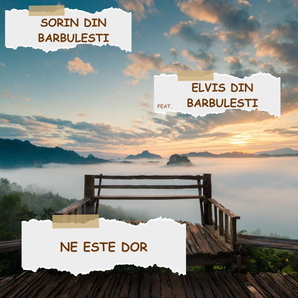 Релиз Ne este dor