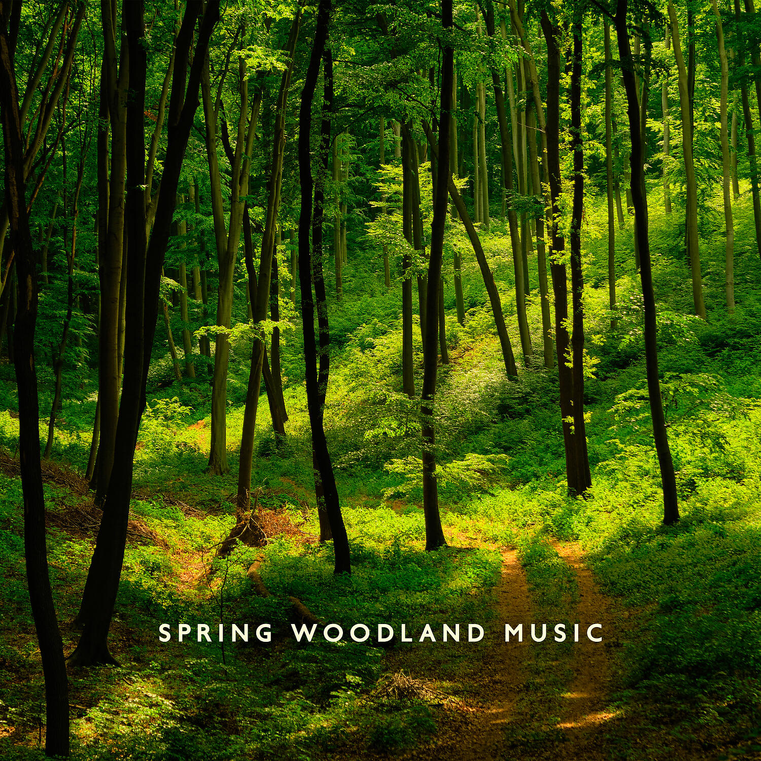Релиз Spring Woodland Music: Affirmative Energy of Spring Enchanted in Forest and Bird Tales - Wellbeing, New Beginning and Renewal, Clear Mind, Fresh Perspectives, Life Cycle Energy