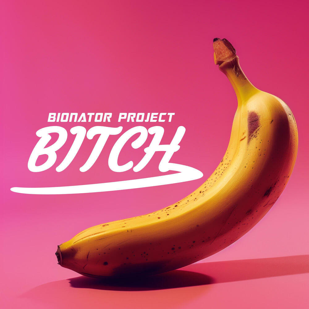 Релиз Bitch