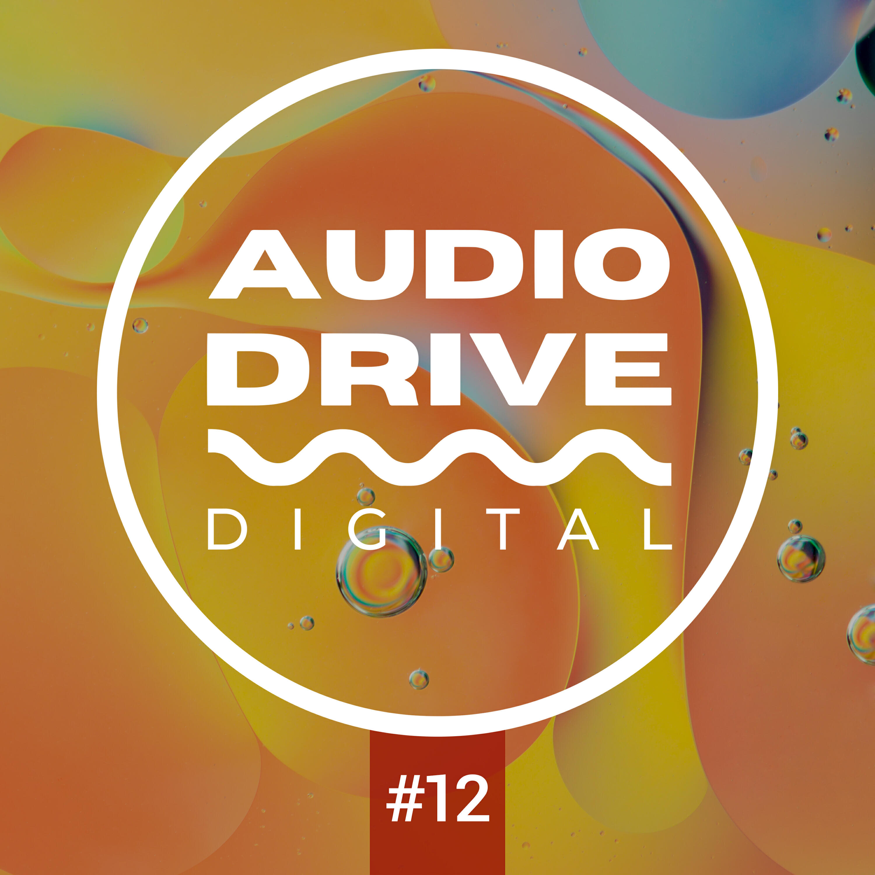Релиз Audio Drive Mix 12