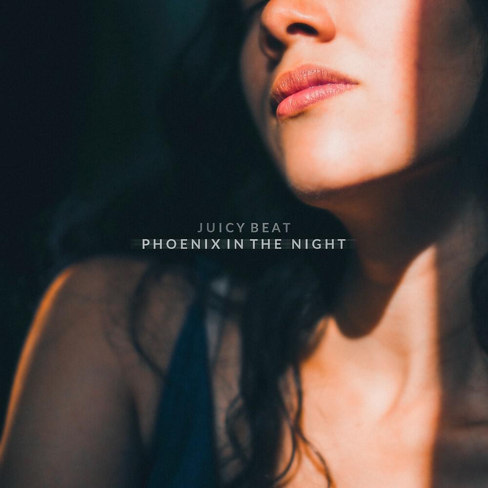 Релиз Phoenix in the Night - Single