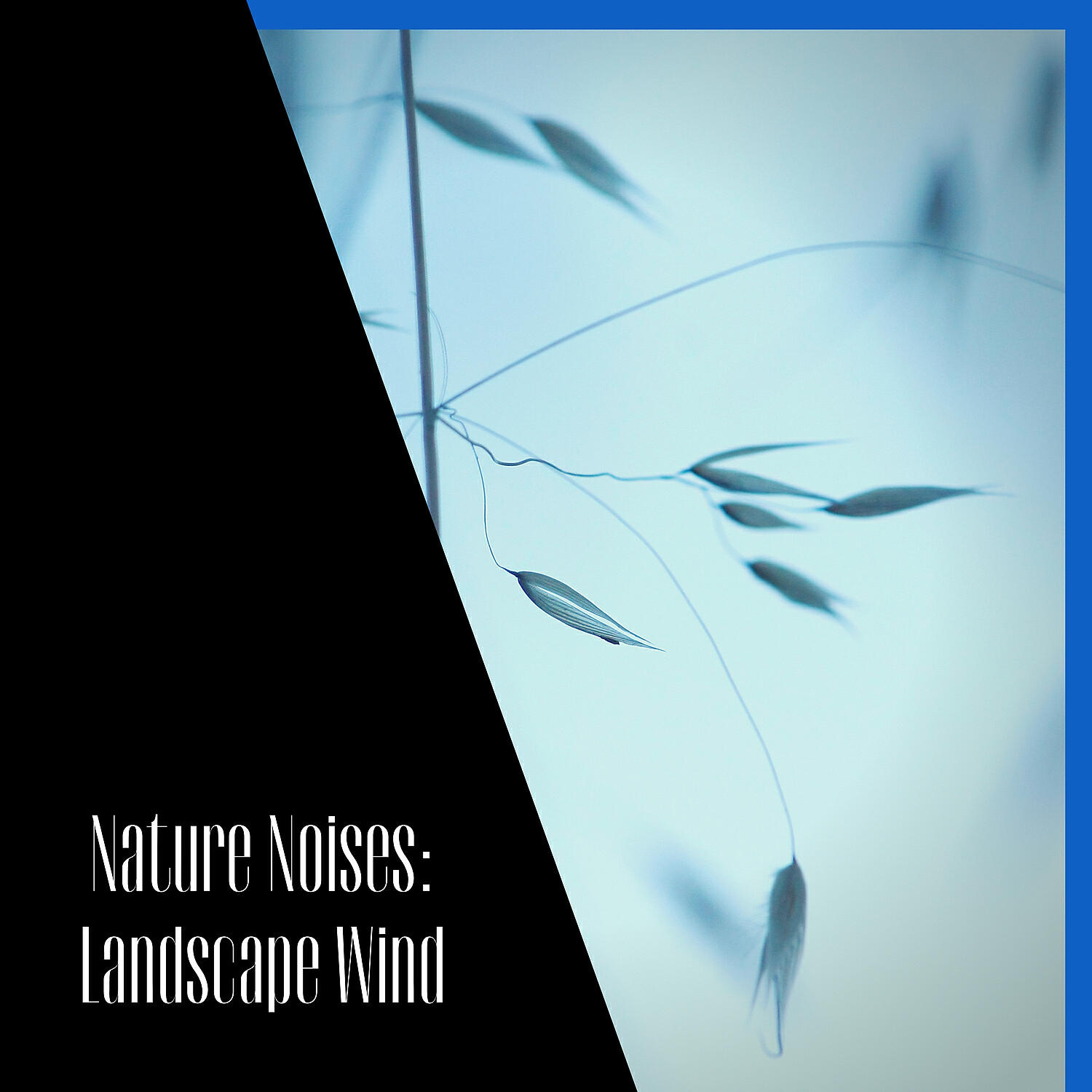 Релиз Nature Noises: Landscape Wind