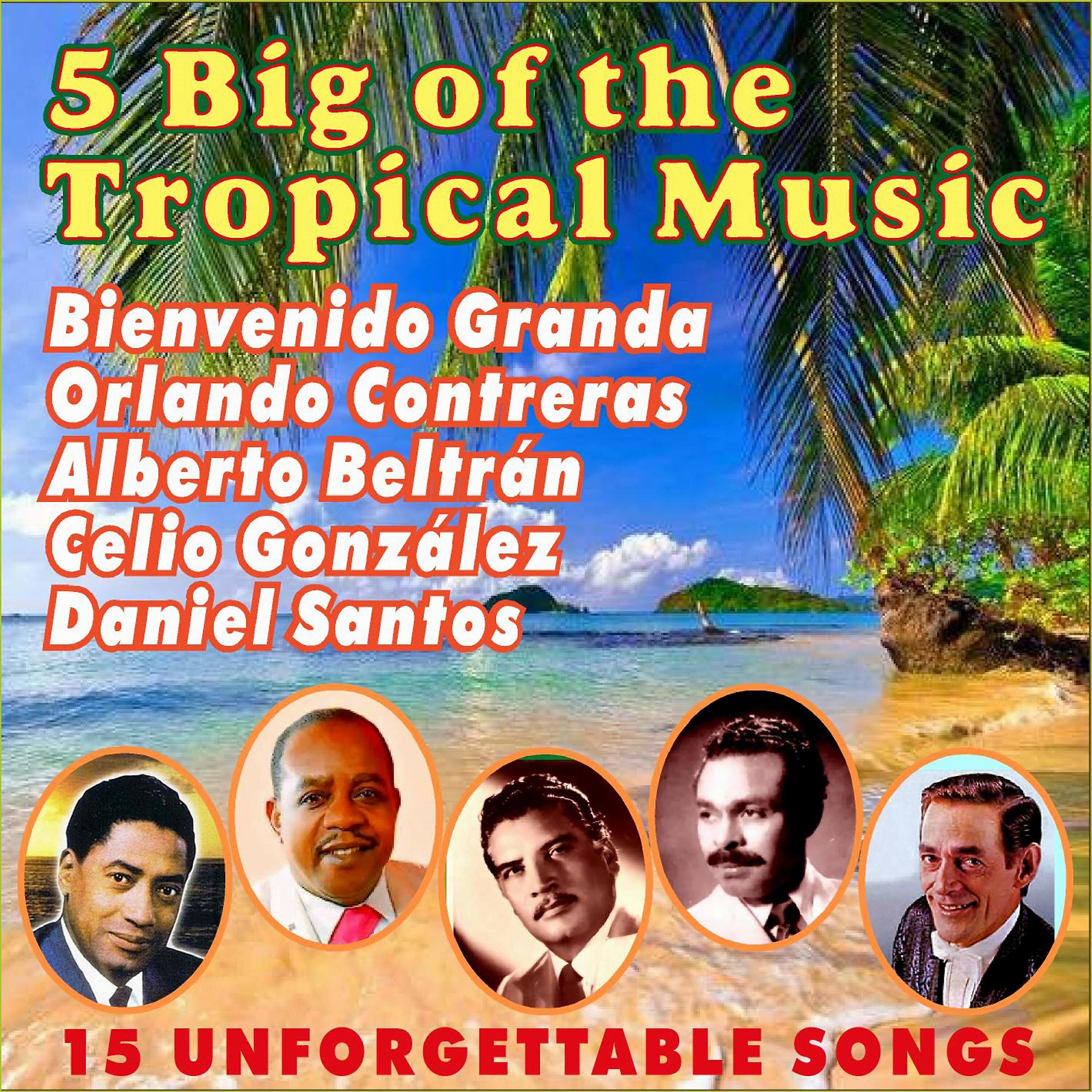 Релиз 5 Big of the Tropical Music
