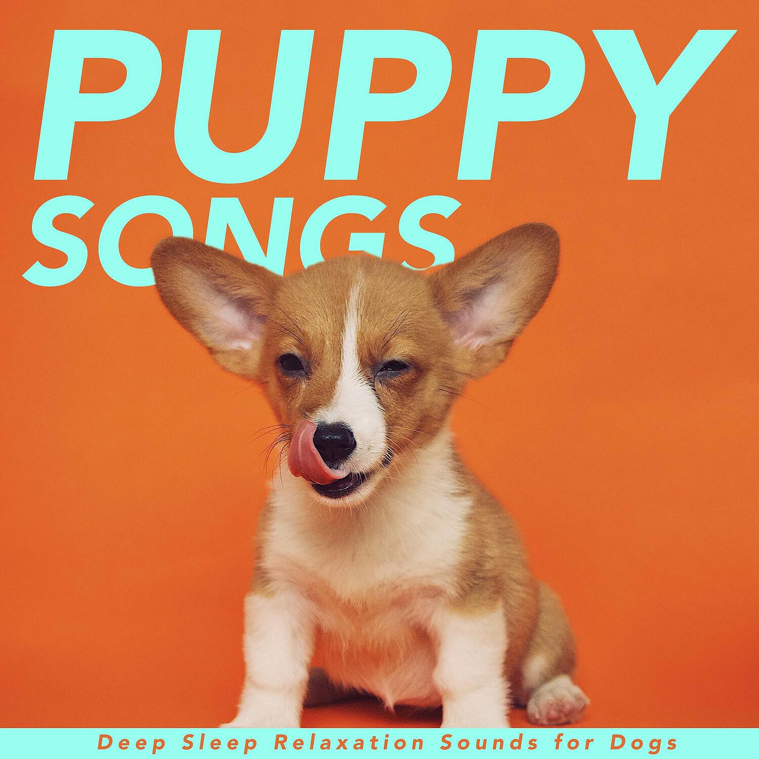 Релиз Puppy Songs - Deep Sleep Relaxation Sounds for Dogs