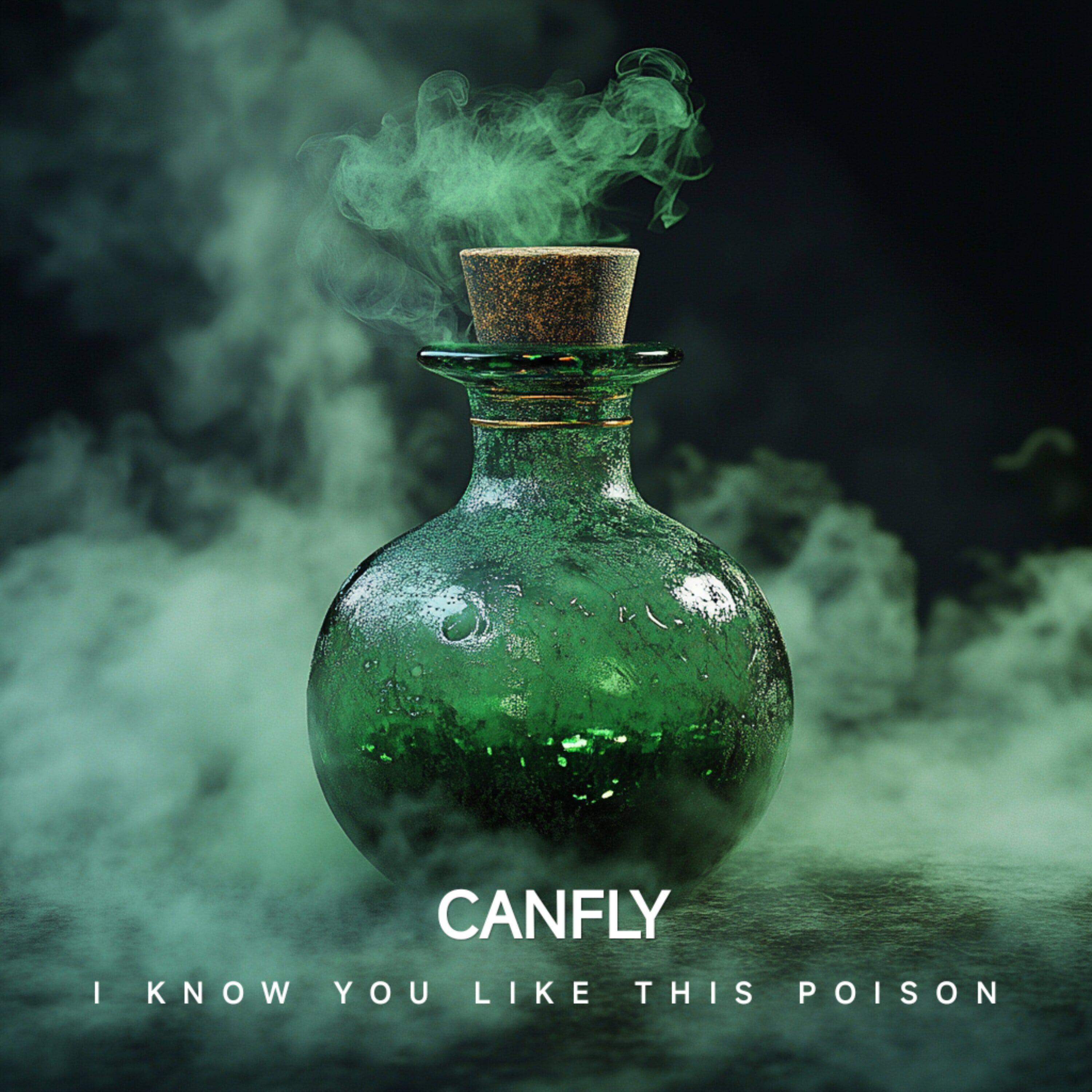 Релиз I Know You Like This Poison