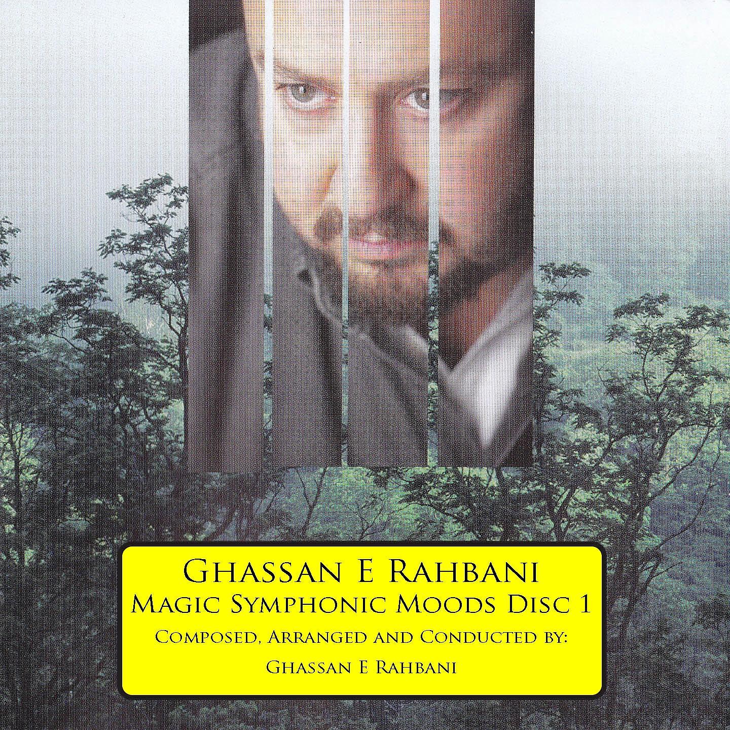 Ghassan E. Rahbani