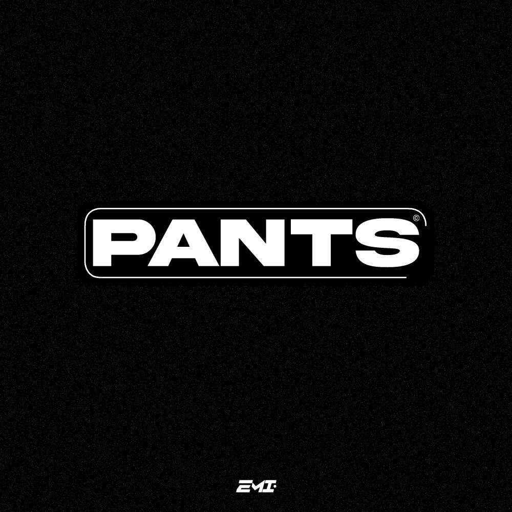 Релиз Pants