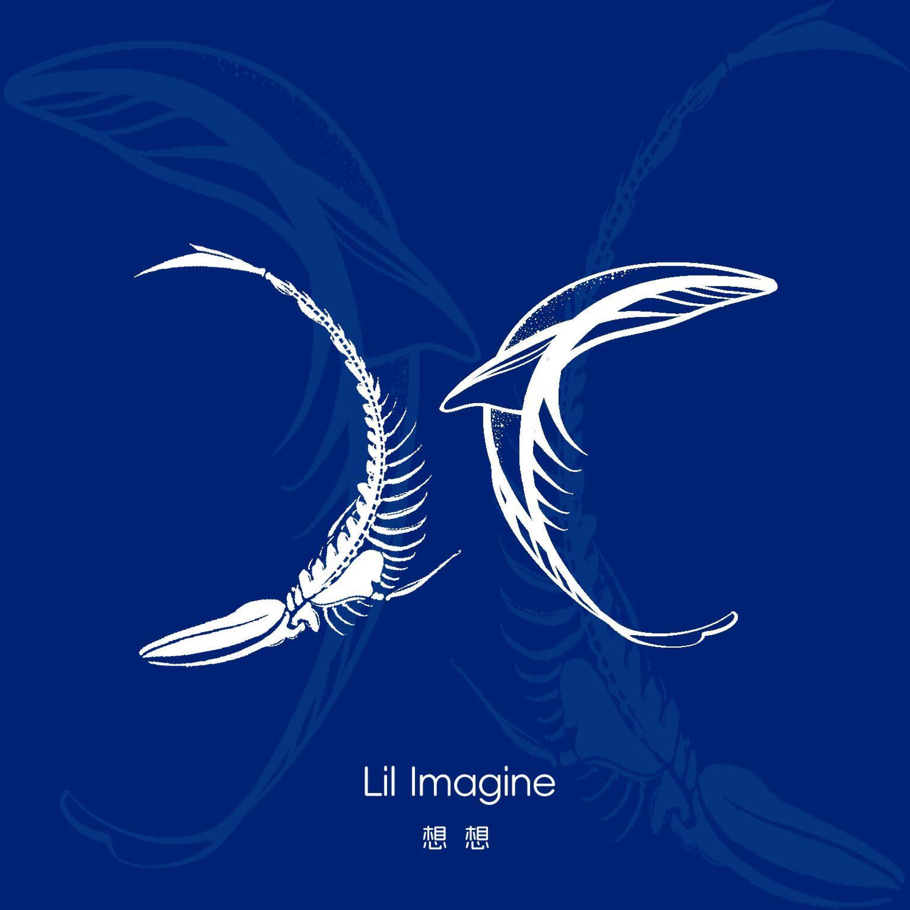 Lil Imagine想想