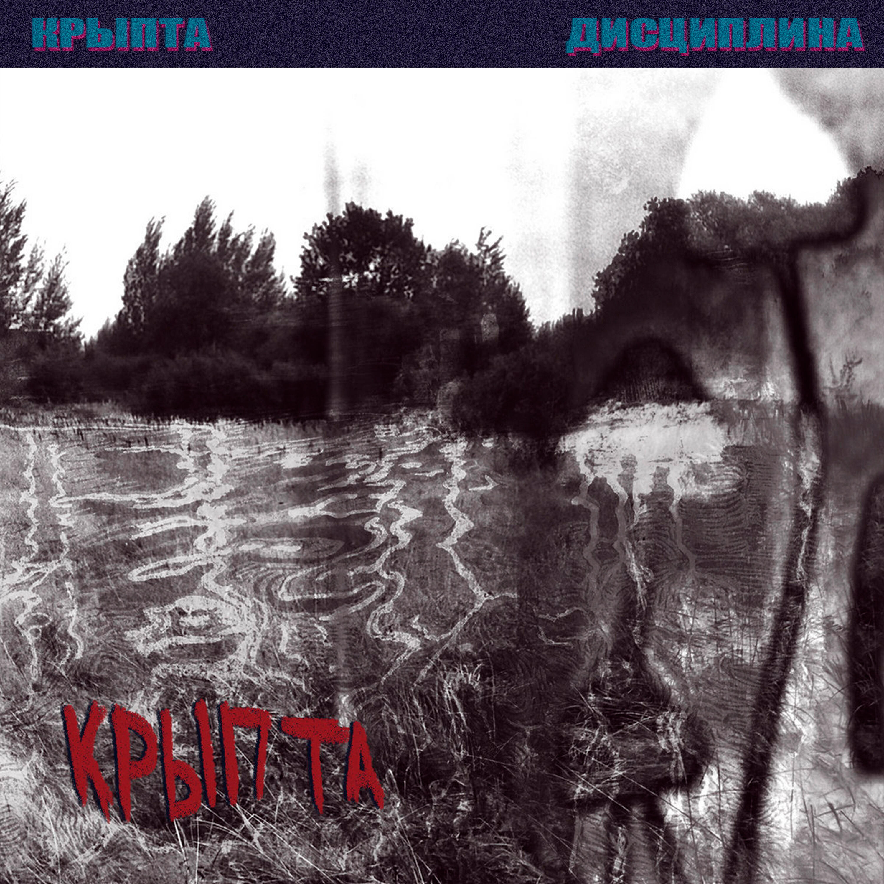 Релиз Дисциплина