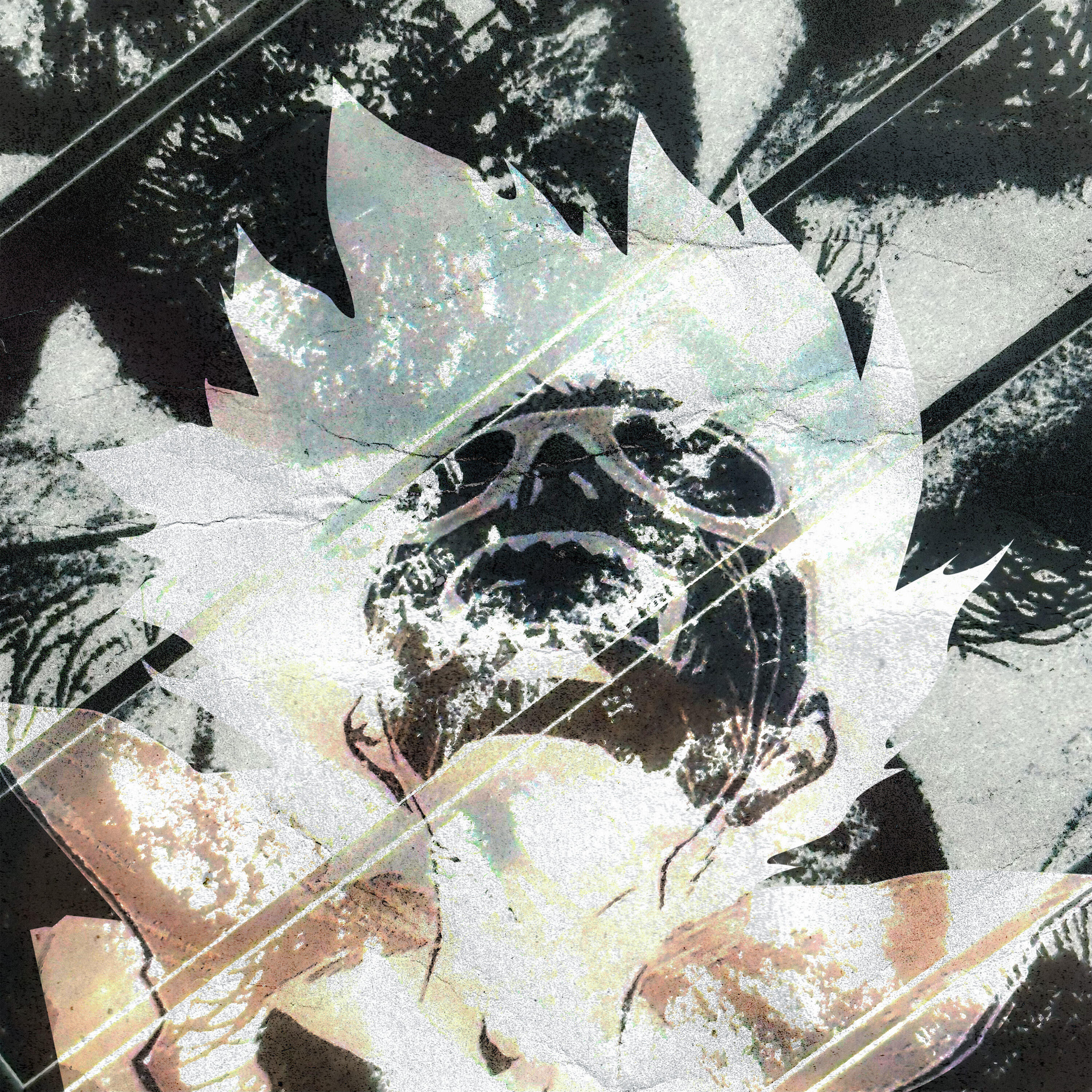 Релиз NEW ERA