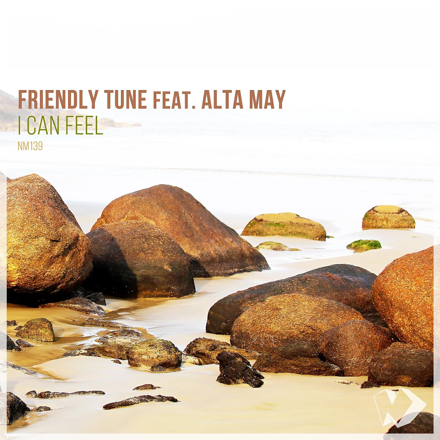 Релиз I Can Feel