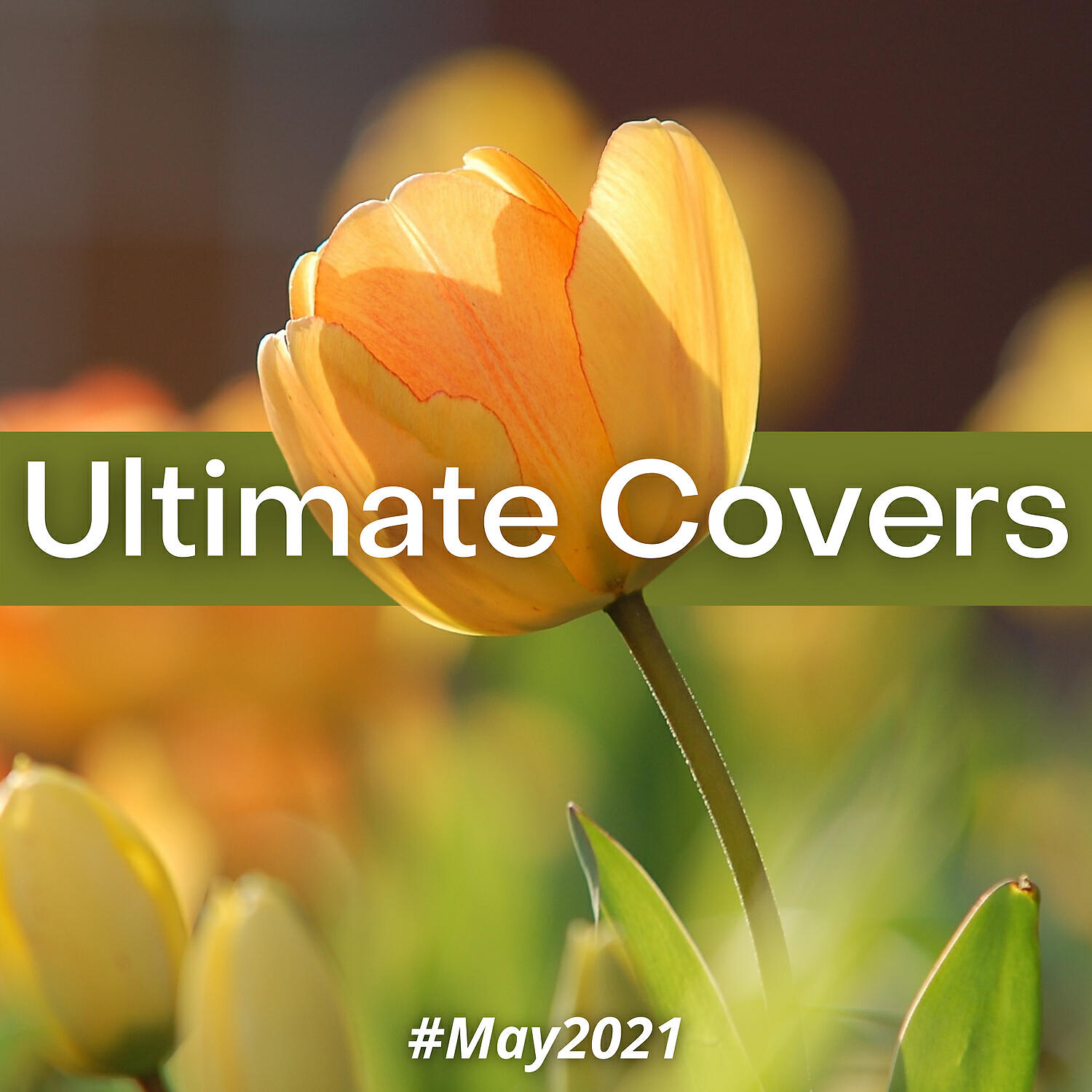Релиз Ultimate Covers (#May 2021)