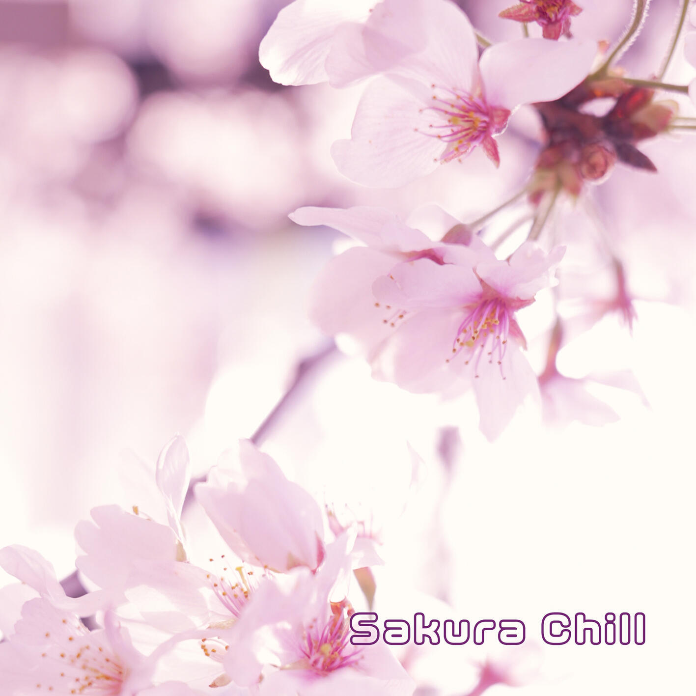 Релиз Sakura Chill